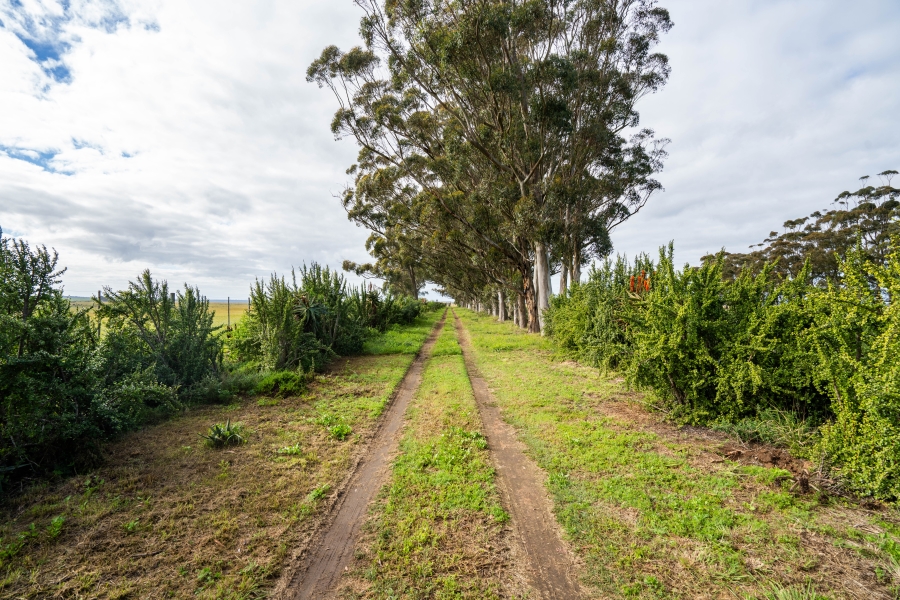 5 Bedroom Property for Sale in Grahamstown Rural Eastern Cape